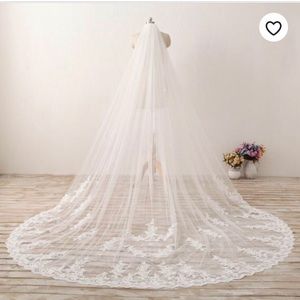 Cathedral length Wedding Veil